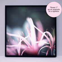 Leuchtkasten Beispiel 1