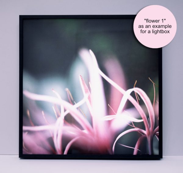 Leuchtkasten Beispiel 1